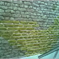 Tinting 4.jpg